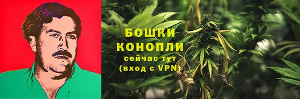 прущие крисы Михайловка