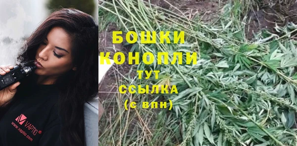 прущие крисы Михайловка