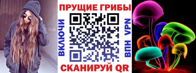 Галлюциногенные грибы Psilocybe Приволжск